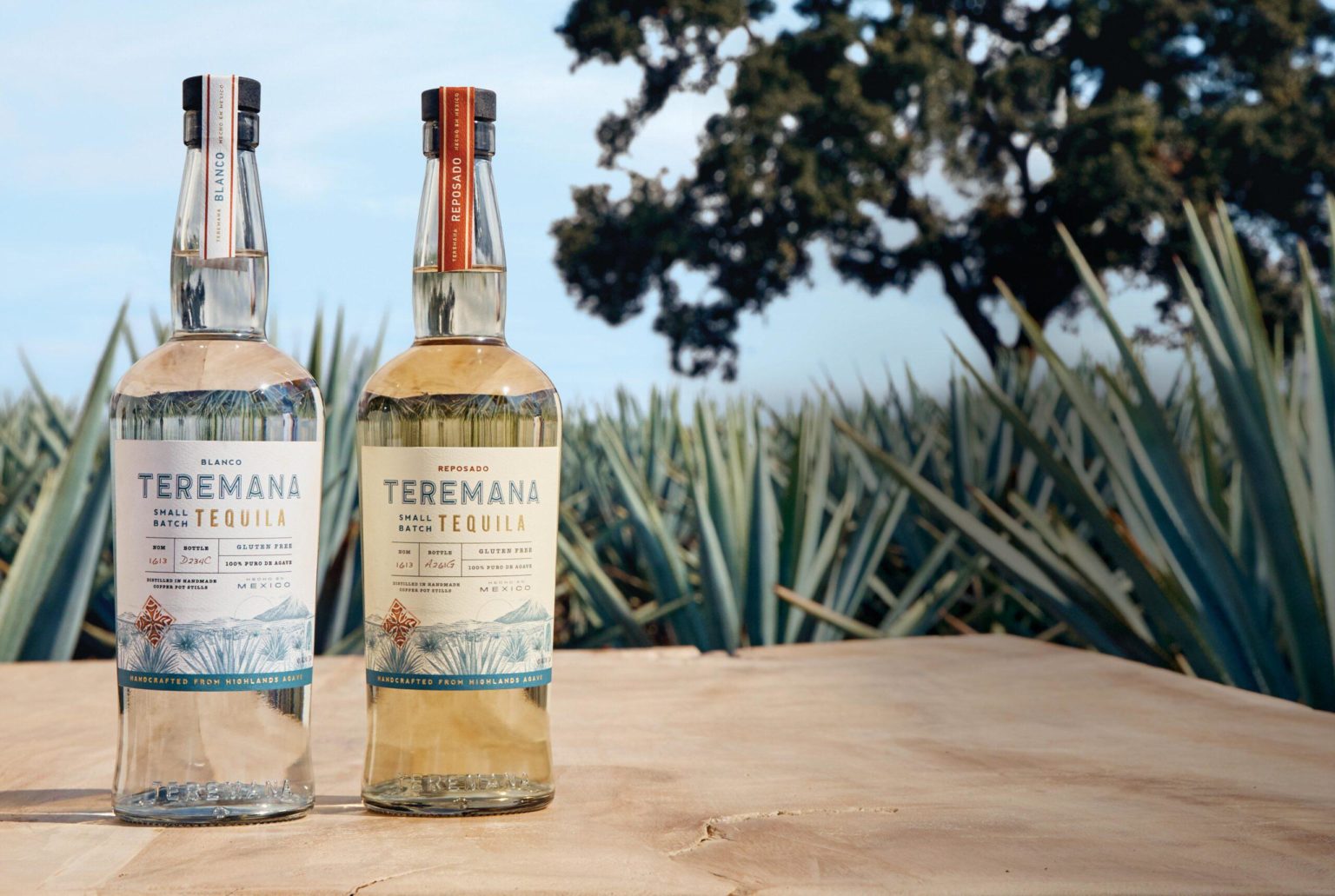 teremana-tequila-latest-prices-and-guide-theswisspub